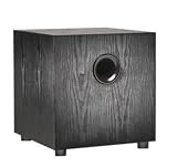 tSc-ASW-10 10" Powered Subwoofer