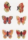 BUTTERFLIES 3-Dimensional Magnet Set of 6 Magnets *NEW!*