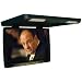 20'' Roof Mounted Screen Black color, letterbox monitor (Extra bright tech for daytime viewing)
