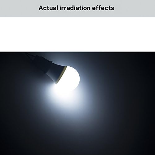 Pepnice 3W LED 240lm LED Bulbs, Replace 25W Incandescent Light, Equivalent to 10W CFL Light, 6000K Cool White, Factory Price ODM &amp; OEM for Three of the World First-class Led Lighting Brands (3 Watts)