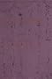 Conversations With Shotetsu (Michigan Monograph Series in Japanese Studies)