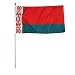 Belarus Flag 12 x 18 inch