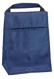 Ensign Peak Insulated Lunch Bag