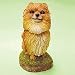   - Swibco Inc Pomeranian Dog Bobble Head
