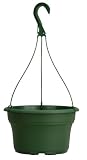 Akro-Mils HPO10000B71 Panterra Hanging Basket Planter, Green, 10-Inch