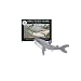 Great White Shark: Ruler of the Sea/Mini Book and 8