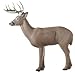 Rinehart Woodland Buck Target