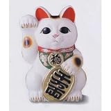 白小判猫8号右手
