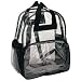 Clear Back Pack