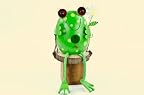 Frog On Swing Birdhouse