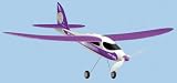 Remote Control /C Fan Tail Flyer Airplane