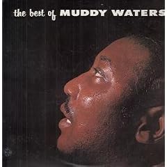 Best of Muddy Waters [Vinyl LP]