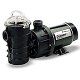 Pentair 340104 Stainless Steel Black Dynamo Single Speed Pump without Cord, 1 Horsepower Pump Reviews 31nkv0izzpL. SL160 Pentair 340104 Stainless Steel Black Dynamo Single Speed Pump without Cord, 1 Horsepower Pump Reviews