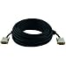 Tripp Lite P560-050 DVI Dual Link TDMS Cable- DVI-D M/M - 50ft (15M)