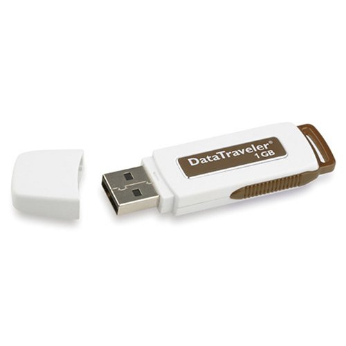 Childrens Toyshop  Electronics : Kingston 1GB Data Traveller USB2.0