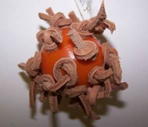 AC 018HS Leather Whiffle Ball Small Hand Held Bird Toy