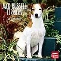 Jack Russell Terriers 2010 Wall Calendar