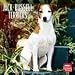 terrier25 - Jack Russell Terriers 2010 Wall Calendar