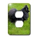 Dogs Pomeranian - Black Pomeranian - Light Switch Covers - 2 plug outlet cover