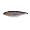 Natural Seatrout