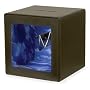 Vanishing Money Bank