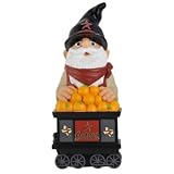 Americans Sport's Houston Astros Garden Gnome 11" Thematic