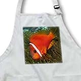 Tomato Clownfish.(Amphiprion frenatus).Solomon Islands - Medium Length Apron With Pouch Pockets 22w X 24l