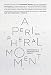 A Peripheral Moment: Experiments in Architectural Agency, Croatia 1990-2010
