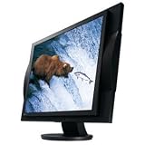 19 In Blck LCD 1280X1024 LCD 19 In Speaker 1000:1 8MS