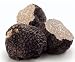 Fresh Black Italian Summer Truffles (4 ounce)