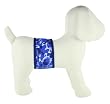 PlayaPup Dog Belly Bands for Male Dogs with Incontinence Problems/Training - Print