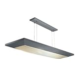 Buy American Fluorescent AEL232SAMV-CK Aeon 16-Inch Multi-Volt Suspended Light with... by American Fluorescent
