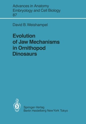Evolution of Jaw Mechanisms in Ornithopod Dinosaurs (Advances in Anatomy, Embryology and Cell Biology)