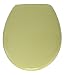 Wenko - 135083100 - Abattant - Roma - Vert