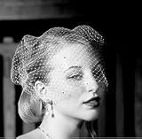 Bird Cage Style Veil - White with Added Crystals