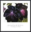 Art Poster Metal Framed Print - Black and Purple Petunia, 1925 - Artist: Georgia O'Keeffe- Poster Size: 25 X 24