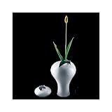 opening vases by little wonder for rosenthal