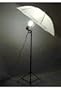PHOTOGRAPHY STUDIO CONTINUOUS LIGHTING UMBRELLA KIT + Free 27 Watts 5500K Fluorescent Photo Lamp Bulb
