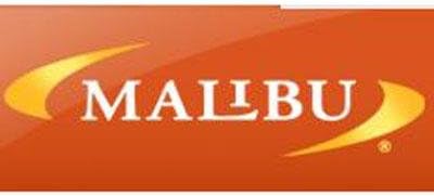 Malibu Lighting - LED Bug Zapper Pathway Light