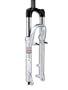 RockShox Dart 3 Coil Fork (Black Pl Rim/Disc '10, 100mm)