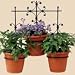 Indoor/Outdoor 3 Pot Holder