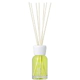 Millefiori NATURAL FRAGRANCES フレグランスディフューザーS ミント DIF-S-020 【HTRC3】