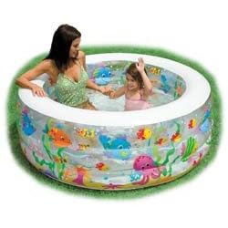 Click here to buy 60 x 22 Aquarium Pool by Intex.