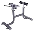 Lamar Fitness LS524 Roman Chair