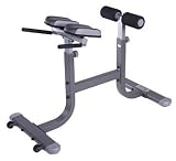 Lamar Fitness LS524 Roman Chair