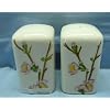 Corelle Cherry Blossom Salt & Pepper