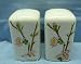 Corelle Cherry Blossom Salt & Pepper