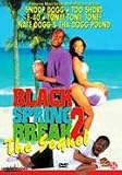 Black Spring Break 2 - The Sequel [ 2003 ]