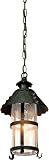 Camelot Collection 12 1/2 High Outdoor Hanging Light