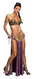 Womens Secret Wishes Star Wars Princess Leia Slave Costume